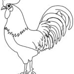 Raskrasil.com-Chicken-Coloring-Pages-37