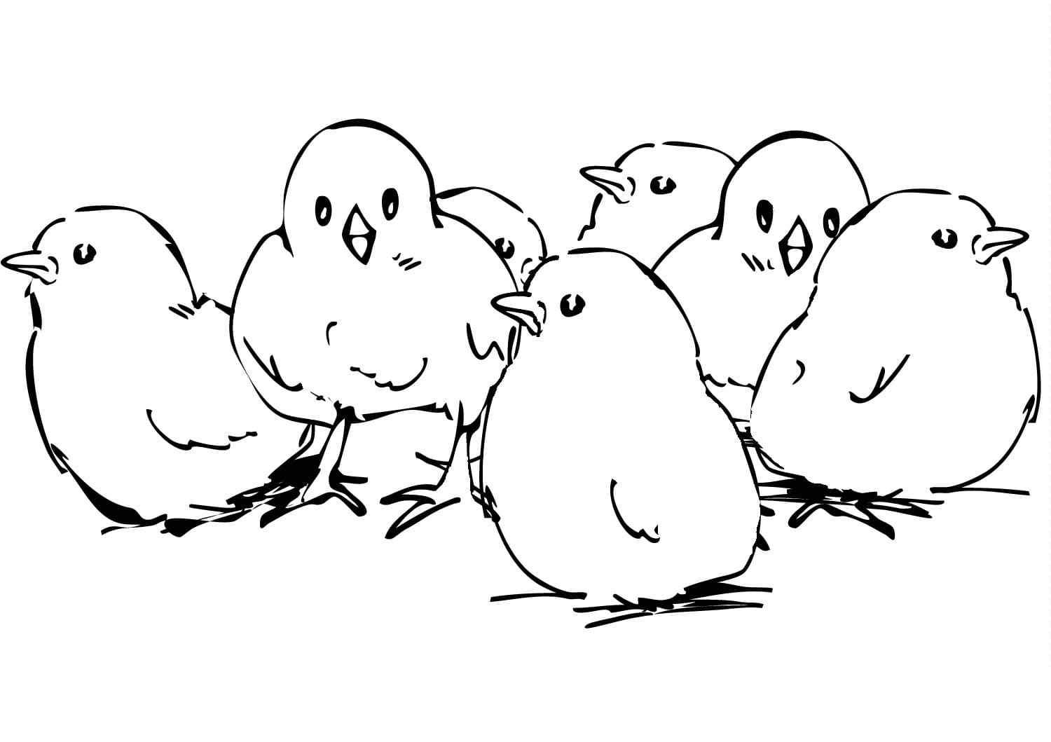 Raskrasil.com-Chicken-Coloring-Pages-50