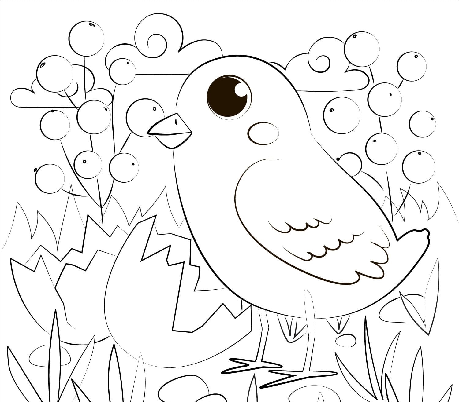 Raskrasil.com-Chicken-Coloring-Pages-6