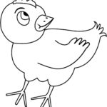 Raskrasil.com-Chicken-Coloring-Pages-69