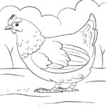 Raskrasil.com-Chicken-Coloring-Pages-93