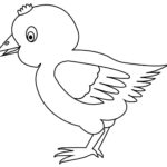Raskrasil.com-Chicken-Coloring-Pages-94