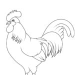 Raskrasil.com-Chicken-New-Coloring-Pages-5