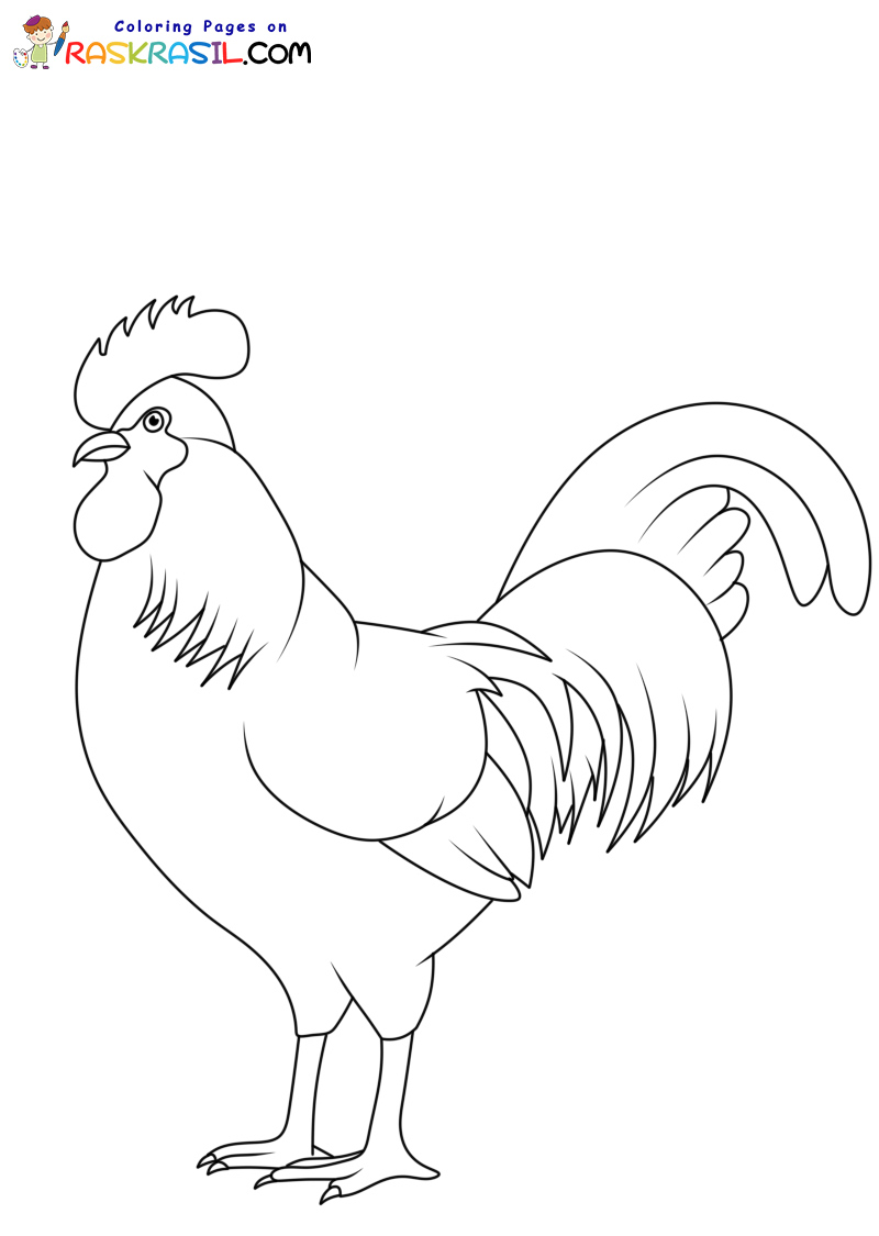 Raskrasil.com-Chicken-New-Coloring-Pages-5