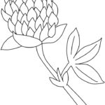 Previous Attachment
