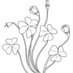 Raskrasil.com-Clover-New-Coloring-Pages-3