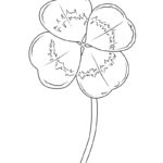Raskrasil.com-Clover-New-Coloring-Pages-4
