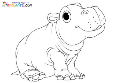 Hippo Coloring Pages