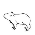 Raskrasil.com-Coloring-Pages-Capybara-13