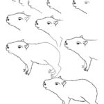 Raskrasil.com-Coloring-Pages-Capybara-16