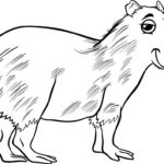 Raskrasil.com-Coloring-Pages-Capybara-19