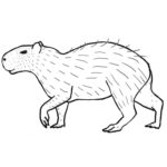 Raskrasil.com-Coloring-Pages-Capybara-22