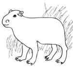 Raskrasil.com-Coloring-Pages-Capybara-24