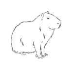 Raskrasil.com-Coloring-Pages-Capybara-28