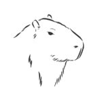 Raskrasil.com-Coloring-Pages-Capybara-29
