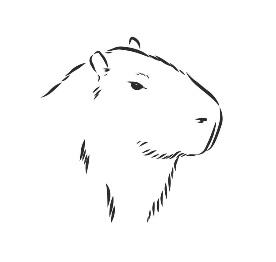 Desenhos de Capivara para Colorir