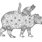 Raskrasil.com-Coloring-Pages-Capybara-33