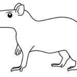 Raskrasil.com-Coloring-Pages-Capybara-38