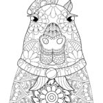 Raskrasil.com-Coloring-Pages-Capybara-41
