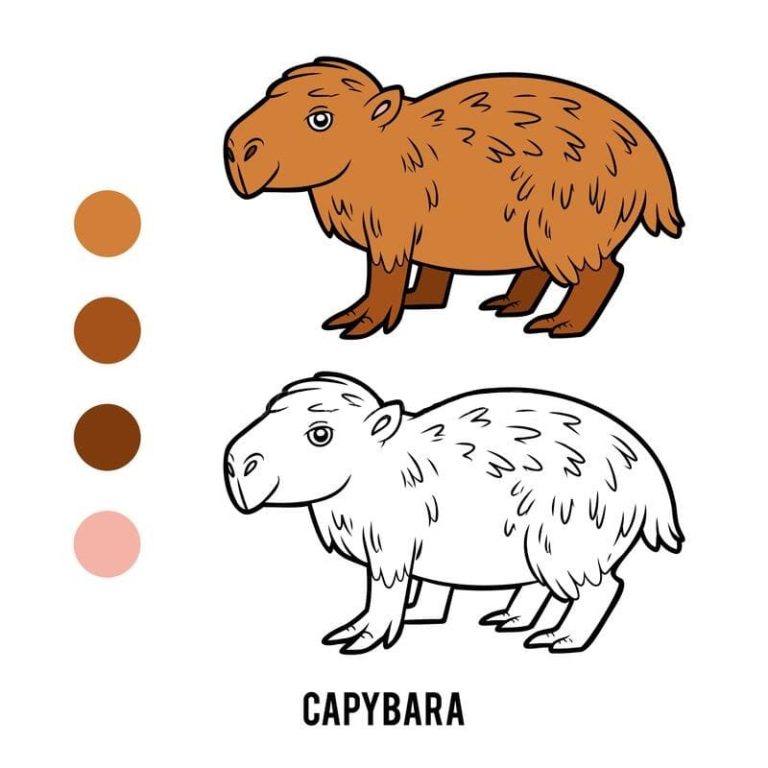 Dibujos de Capibara para Colorear