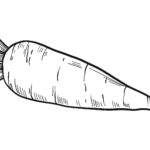 Raskrasil.com-Coloring-Pages-Carrot-101