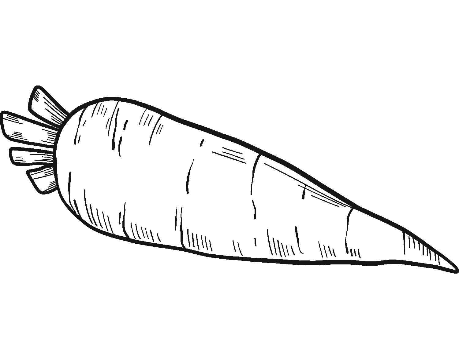 Raskrasil.com-Coloring-Pages-Carrot-101