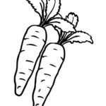 Raskrasil.com-Coloring-Pages-Carrot-15
