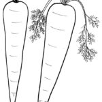 Raskrasil.com-Coloring-Pages-Carrot-16