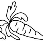 Raskrasil.com-Coloring-Pages-Carrot-17