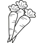 Raskrasil.com-Coloring-Pages-Carrot-18