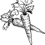 Raskrasil.com-Coloring-Pages-Carrot-2