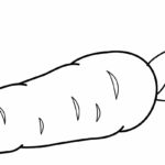 Raskrasil.com-Coloring-Pages-Carrot-23