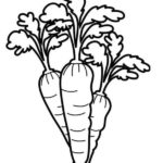Raskrasil.com-Coloring-Pages-Carrot-25