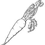 Raskrasil.com-Coloring-Pages-Carrot-29