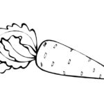 Raskrasil.com-Coloring-Pages-Carrot-31