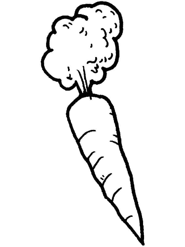 Raskrasil.com-Coloring-Pages-Carrot-45