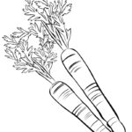 Raskrasil.com-Coloring-Pages-Carrot-51