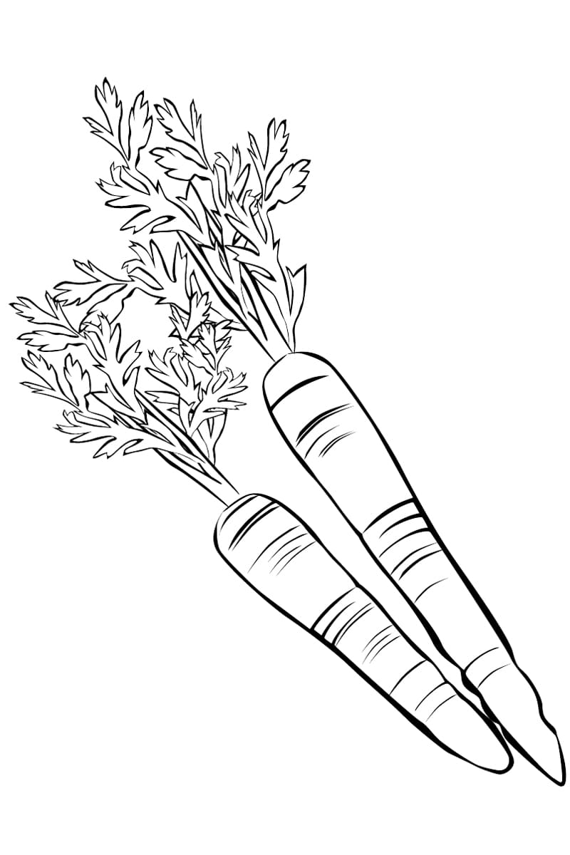 Raskrasil.com-Coloring-Pages-Carrot-51
