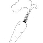 Raskrasil.com-Coloring-Pages-Carrot-58