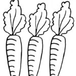 Raskrasil.com-Coloring-Pages-Carrot-64