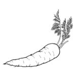 Raskrasil.com-Coloring-Pages-Carrot-68