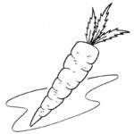 Raskrasil.com-Coloring-Pages-Carrot-76