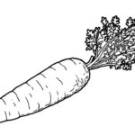 Raskrasil.com-Coloring-Pages-Carrot-78