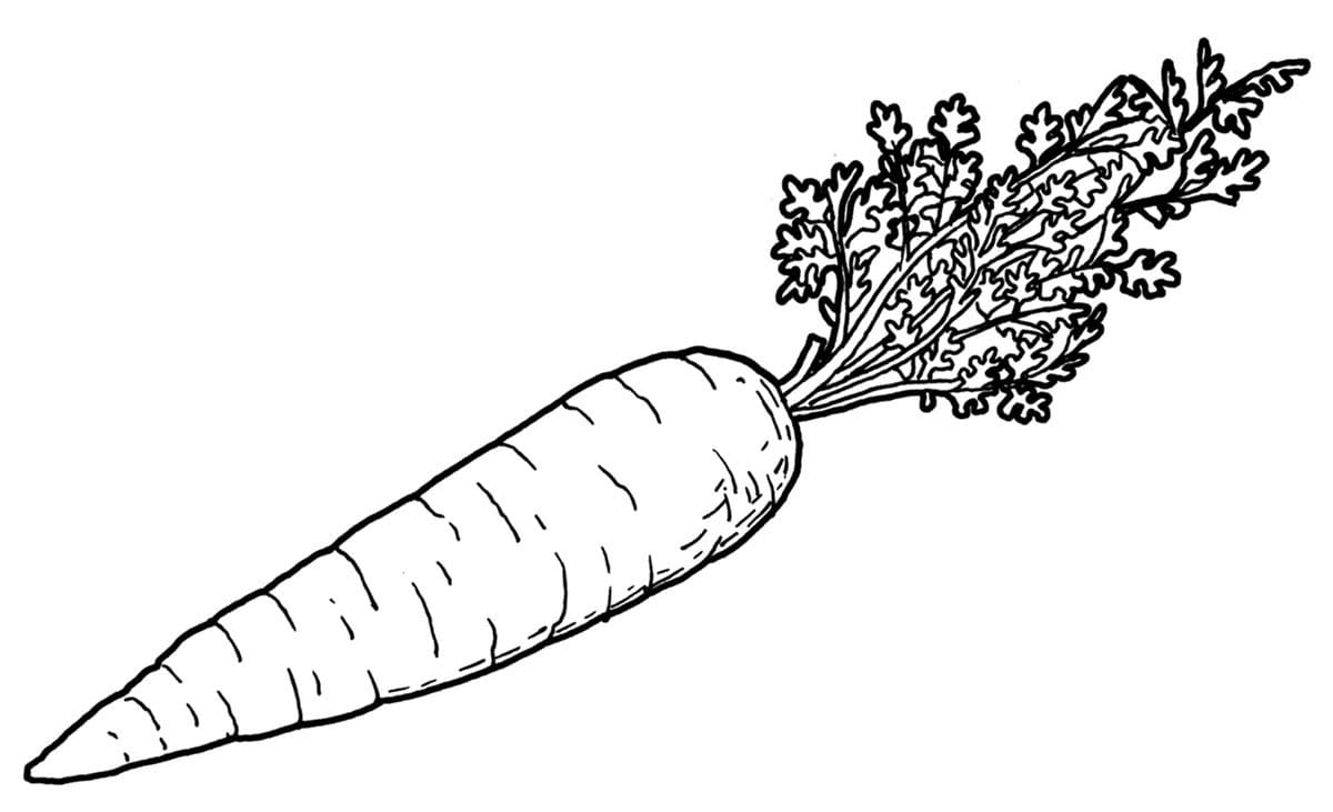 Raskrasil.com-Coloring-Pages-Carrot-78
