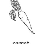Raskrasil.com-Coloring-Pages-Carrot-79
