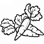 Raskrasil.com-Coloring-Pages-Carrot-8