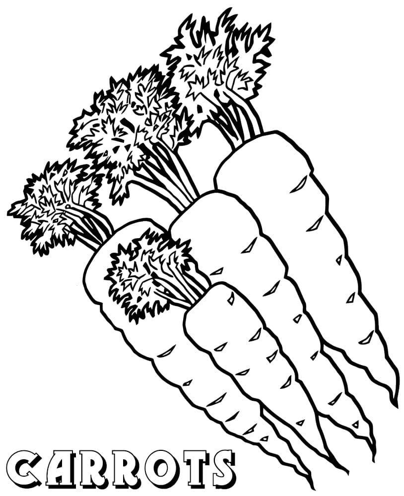 Raskrasil.com-Coloring-Pages-Carrot-84