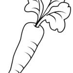 Raskrasil.com-Coloring-Pages-Carrot-85