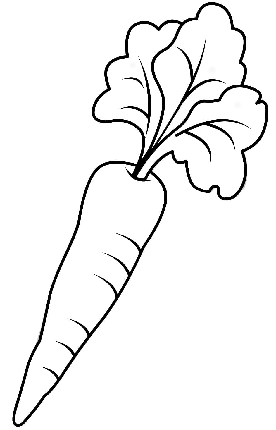 Raskrasil.com-Coloring-Pages-Carrot-85