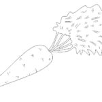 Raskrasil.com-Coloring-Pages-Carrot-86